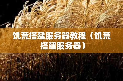 饥荒搭建服务器教程（饥荒 搭建服务器）
