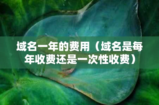 域名一年的费用（域名是每年收费还是一次性收费）