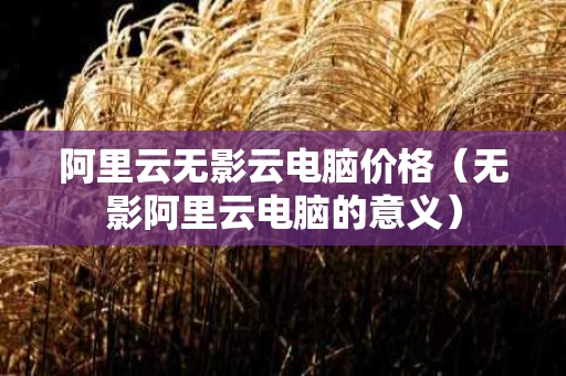 阿里云无影云电脑价格（无影阿里云电脑的意义）