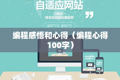 编程感悟和心得（编程心得100字）