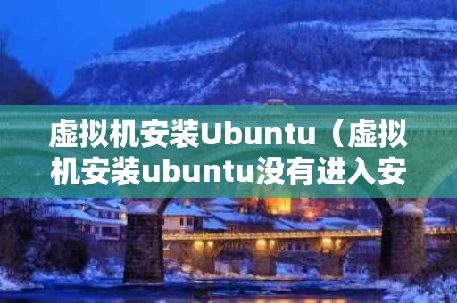 虚拟机安装Ubuntu（虚拟机安装ubuntu没有进入安装界面）