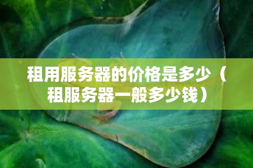 租用服务器的价格是多少（租服务器一般多少钱）