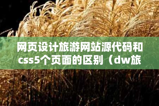 网页设计旅游网站源代码和css5个页面的区别（dw旅游网页设计源代码）
