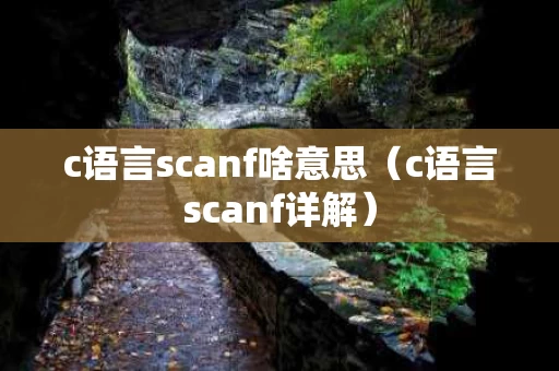 c语言scanf啥意思（c语言scanf详解）