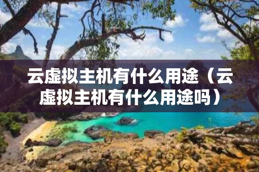 云虚拟主机有什么用途（云虚拟主机有什么用途吗）
