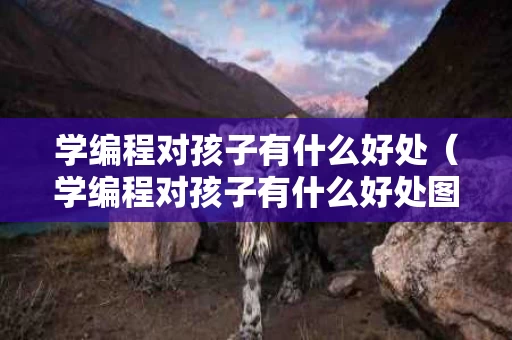 学编程对孩子有什么好处（学编程对孩子有什么好处图片）