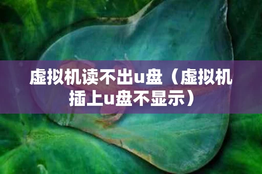 虚拟机读不出u盘（虚拟机插上u盘不显示）