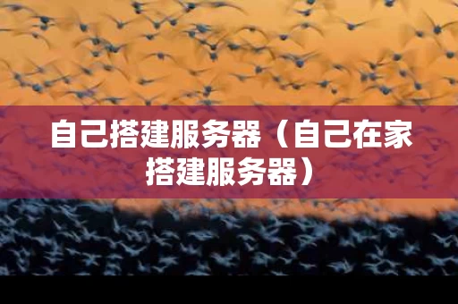 自己搭建服务器（自己在家搭建服务器）