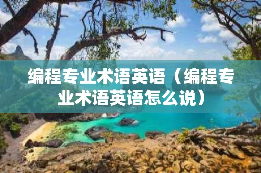 编程专业术语英语（编程专业术语英语怎么说）
