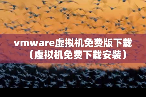 vmware虚拟机免费版下载（虚拟机免费下载安装）