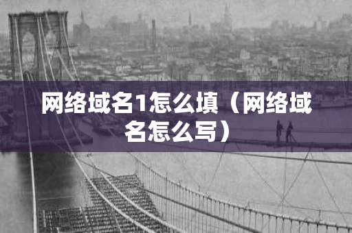 网络域名1怎么填（网络域名怎么写）
