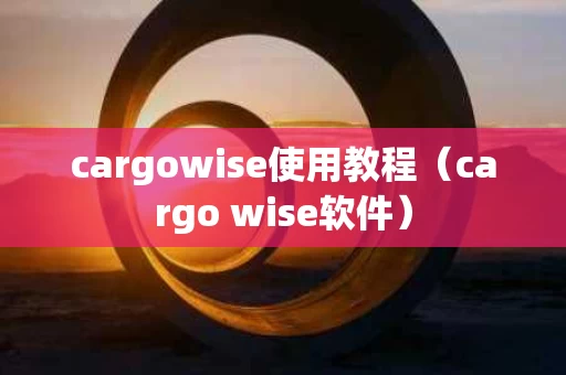 cargowise使用教程（cargo wise软件）