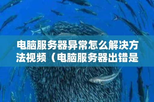 电脑服务器异常怎么解决方法视频（电脑服务器出错是什么意思）