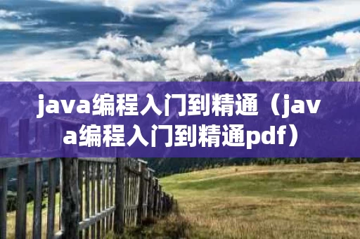 java编程入门到精通（java编程入门到精通pdf）