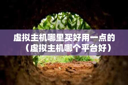 虚拟主机哪里买好用一点的（虚拟主机哪个平台好）