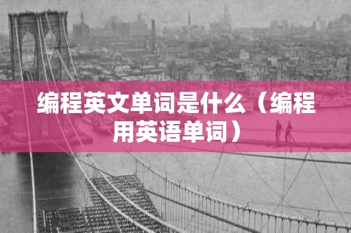 编程英文单词是什么（编程用英语单词）