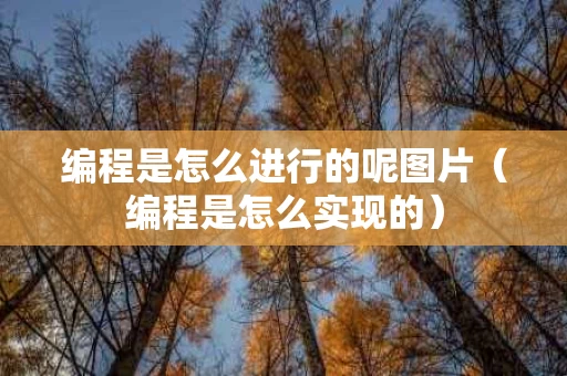 编程是怎么进行的呢图片（编程是怎么实现的）