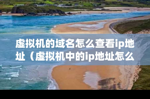 虚拟机的域名怎么查看ip地址（虚拟机中的ip地址怎么查）