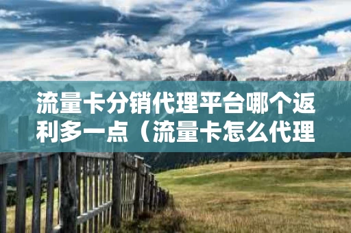 流量卡分销代理平台哪个返利多一点（流量卡怎么代理销售）