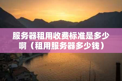 服务器租用收费标准是多少啊（租用服务器多少钱）