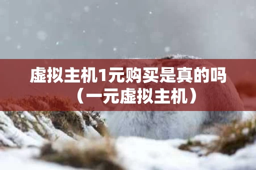 虚拟主机1元购买是真的吗（一元虚拟主机）