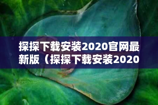 探探下载安装2020官网最新版（探探下载安装2020官网最新版本）