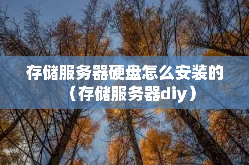 存储服务器硬盘怎么安装的（存储服务器diy）