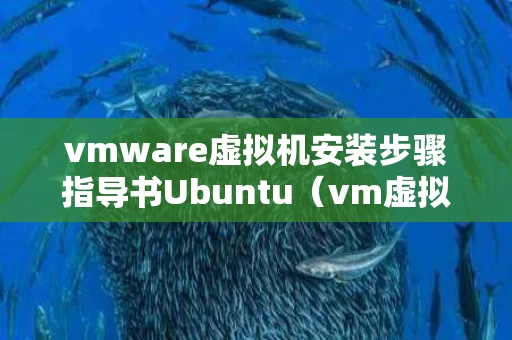 vmware虚拟机安装步骤指导书Ubuntu（vm虚拟机安装ubuntu 详细）