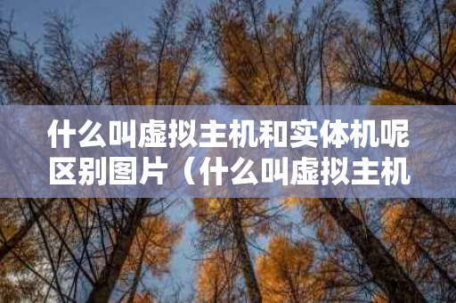 什么叫虚拟主机和实体机呢区别图片（什么叫虚拟主机和实体机呢区别图片对比）