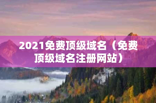 2021免费顶级域名（免费顶级域名注册网站）