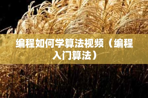 编程如何学算法视频（编程入门算法）