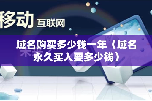 域名购买多少钱一年（域名永久买入要多少钱）