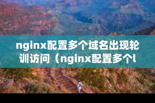 nginx配置多个域名出现轮训访问（nginx配置多个location）