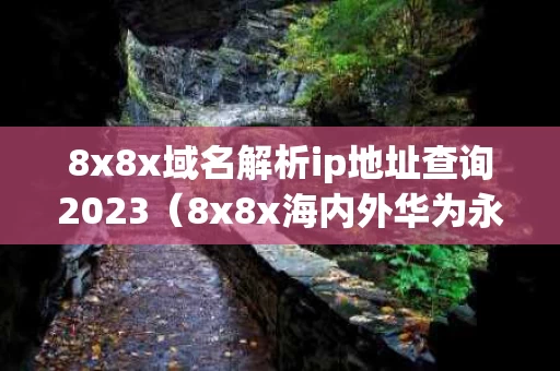 8x8x域名解析ip地址查询2023（8x8x海内外华为永久更新时间）