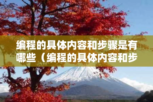 编程的具体内容和步骤是有哪些（编程的具体内容和步骤是有哪些呢）