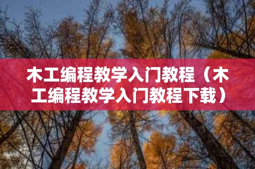 木工编程教学入门教程（木工编程教学入门教程下载）