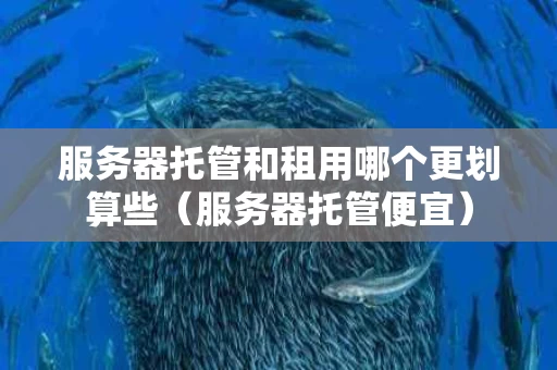 服务器托管和租用哪个更划算些（服务器托管便宜）