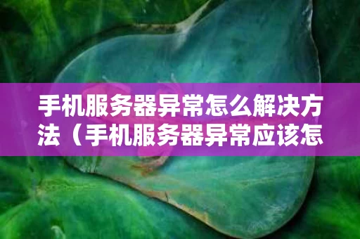手机服务器异常怎么解决方法（手机服务器异常应该怎么处理）