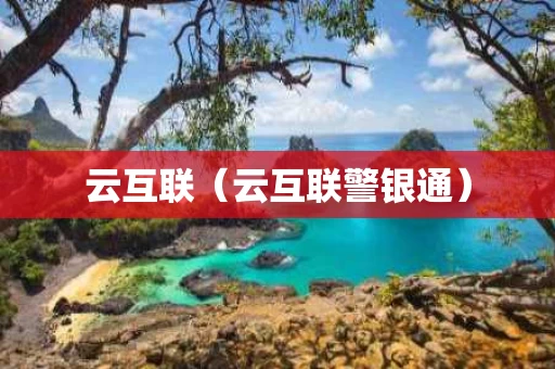 云互联（云互联警银通）