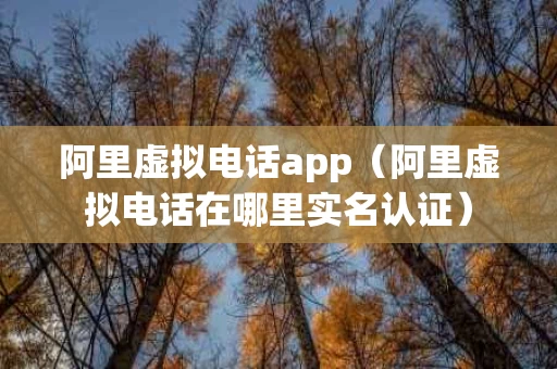 阿里虚拟电话app（阿里虚拟电话在哪里实名认证）