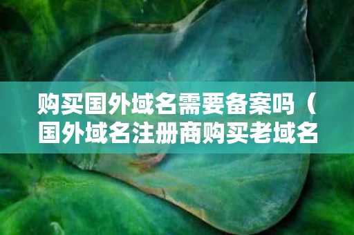 购买国外域名需要备案吗（国外域名注册商购买老域名）
