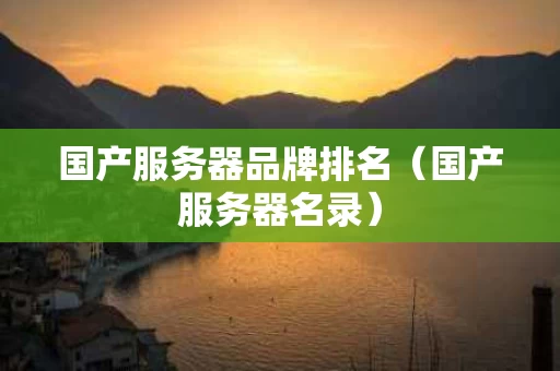 国产服务器品牌排名（国产服务器名录）