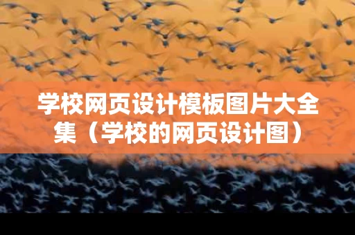 学校网页设计模板图片大全集（学校的网页设计图）