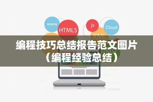 编程技巧总结报告范文图片（编程经验总结）