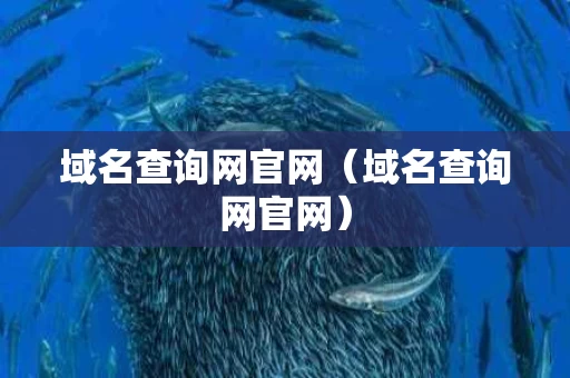 域名查询网官网（域名查询网官网）