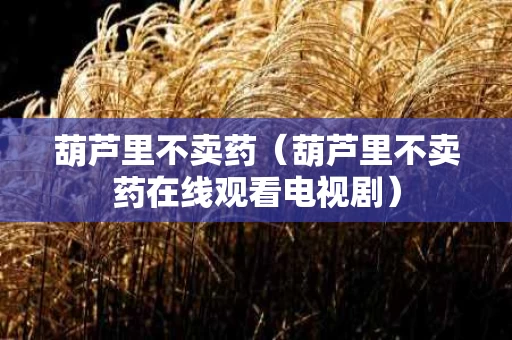 葫芦里不卖药（葫芦里不卖药在线观看电视剧）