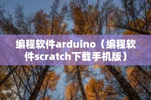 编程软件arduino（编程软件scratch下载手机版）