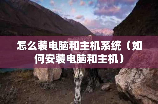 怎么装电脑和主机系统（如何安装电脑和主机）