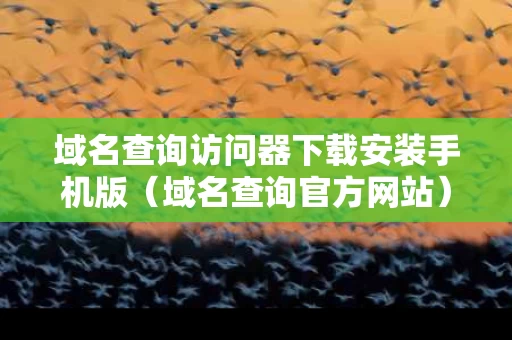 域名查询访问器下载安装手机版（域名查询官方网站）