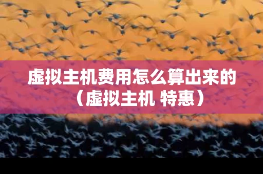 虚拟主机费用怎么算出来的（虚拟主机 特惠）